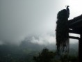 /album/fotogaleria/gyoxii-010-jpg/